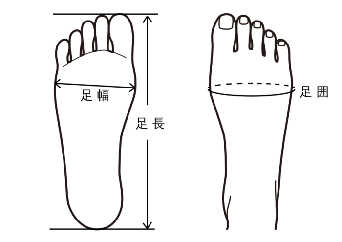 足長・足幅・足囲の足底位置を示す足のイラスト図